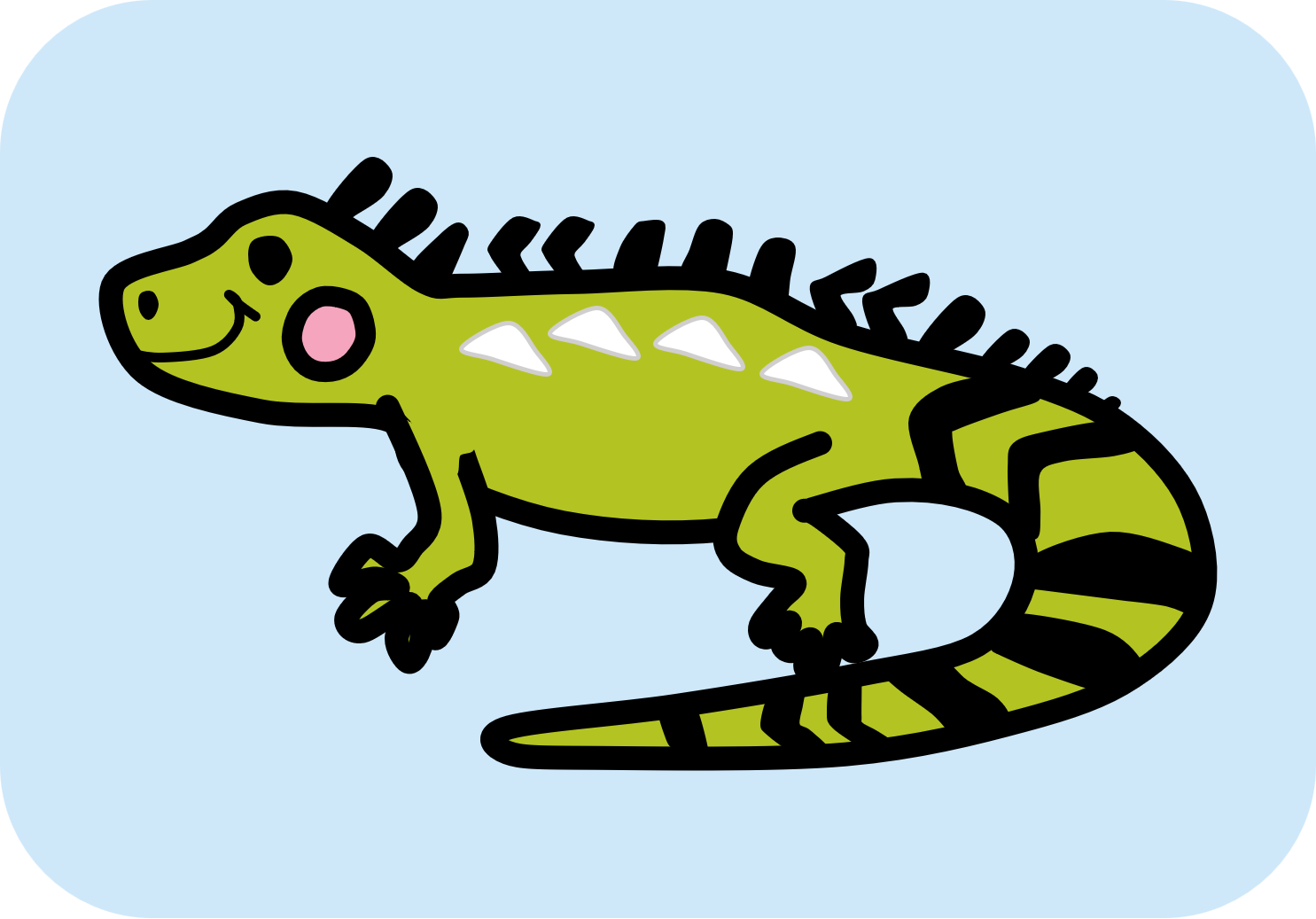 Animal